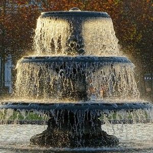 Meet your Posher, George